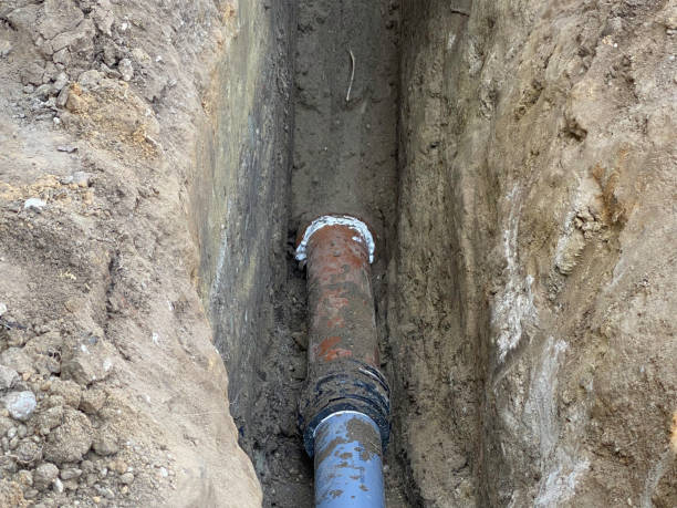 Best Flood damage cleanup  in Hermann, MO
