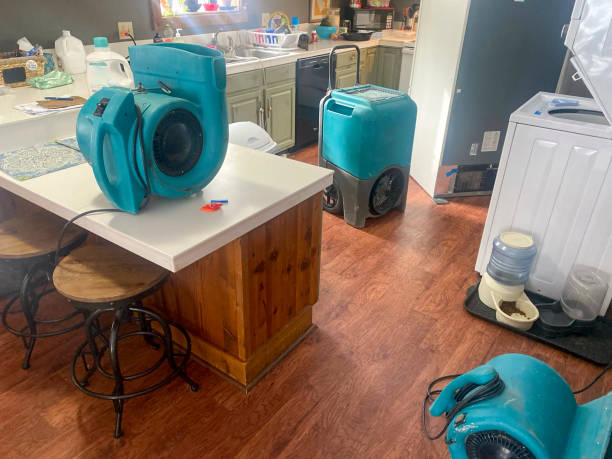 Best Basement water damage restoration  in Hermann, MO