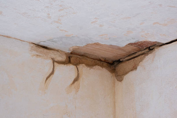 Best Commercial water damage restoration  in Hermann, MO