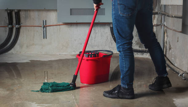 Best Water damage restoration services  in Hermann, MO
