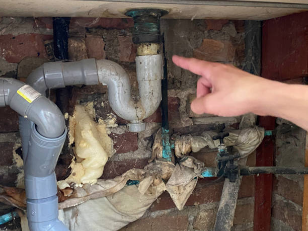 Best Sewage cleanup and water damage restoration  in Hermann, MO
