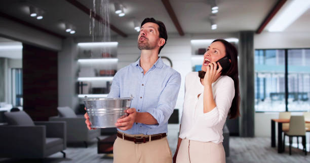 Best Flood restoration services  in Hermann, MO